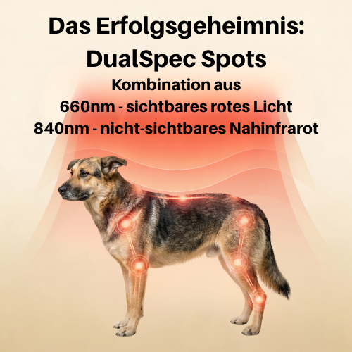 Vyroon RedPet Hunde Rotlichttherapie-Matte & Gürtel