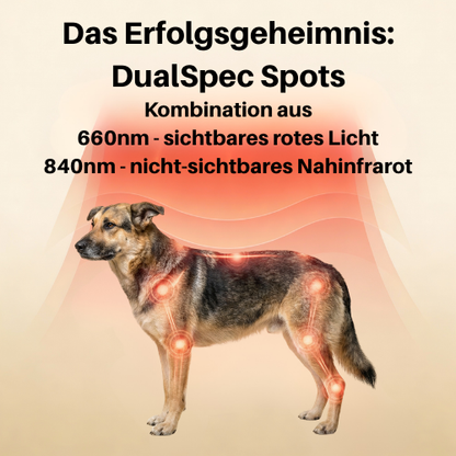Vyroon RedPet Hunde Rotlichttherapie-Matte & Gürtel