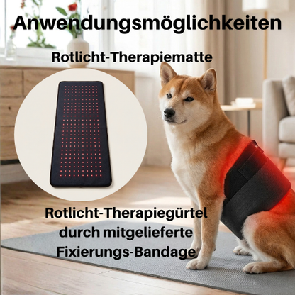 Vyroon RedPet Hunde Rotlichttherapie-Matte & Gürtel