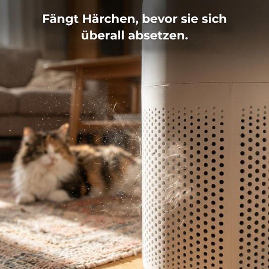 Vyroon Aurio™ - Der Luftreiniger