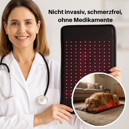 Vyroon RedPet Hunde Rotlichttherapie-Matte & Gürtel