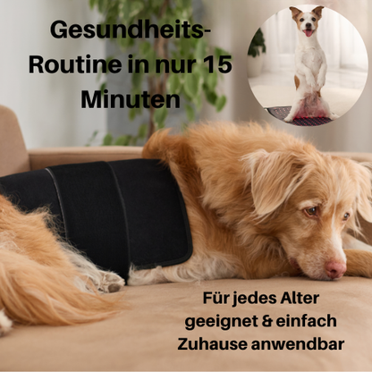 Vyroon RedPet Hunde Rotlichttherapie-Matte & Gürtel