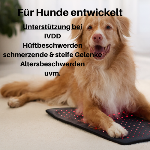 Vyroon RedPet Hunde Rotlichttherapie-Matte & Gürtel