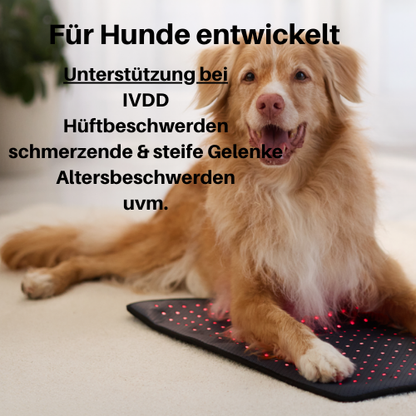 Vyroon RedPet Hunde Rotlichttherapie-Matte & Gürtel