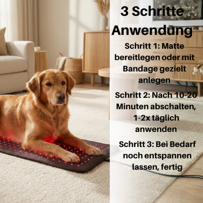 Vyroon RedPet Hunde Rotlichttherapie-Matte & Gürtel