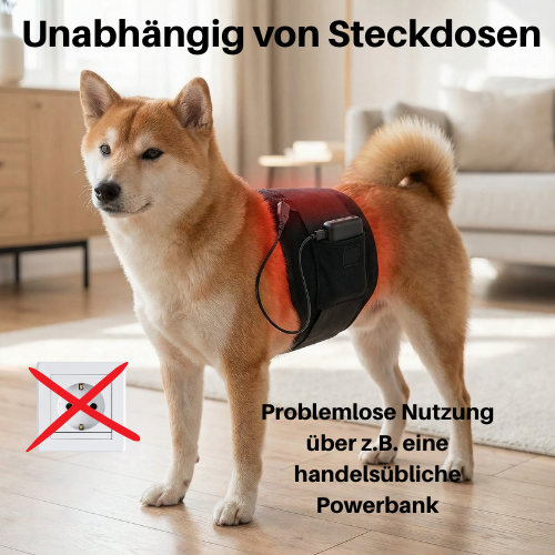 Vyroon RedPet Hunde Rotlichttherapie-Matte & Gürtel